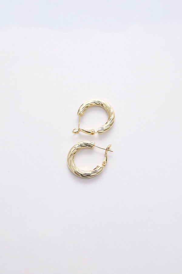 Classic Gold Hoop Earrings