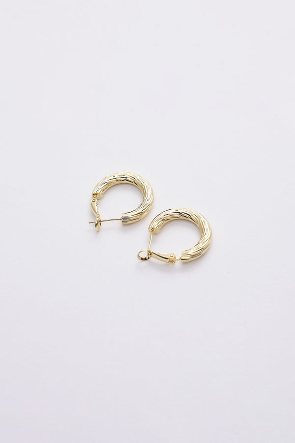 Classic Gold Hoop Earrings